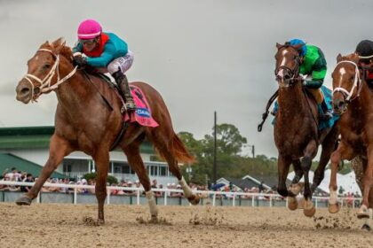 2026 Kentucky Derby Prospect Profile: Tampa Bay Derby Winner Puma