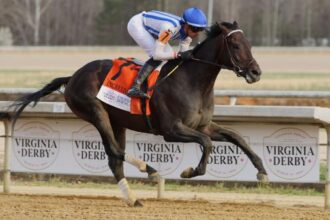 2026 Kentucky Derby prediction profile: Virginia Derby winner Incredivolt