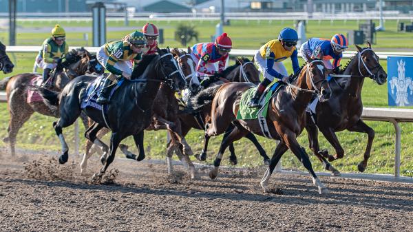 2026 Louisiana Derby Cheat Sheet