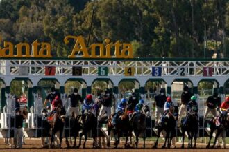 2026 San Felipe Stakes Overview