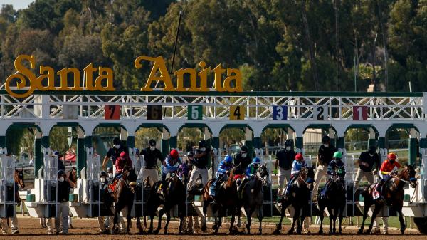 2026 San Felipe Stakes Overview