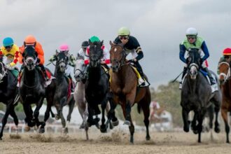 2026 Tampa Bay Derby Cheat Sheet
