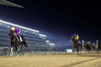 2026 UAE Derby Overview