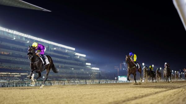 2026 UAE Derby Overview