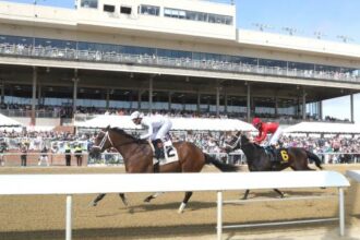 2026 Virginia Derby Overview