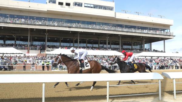2026 Virginia Derby Overview