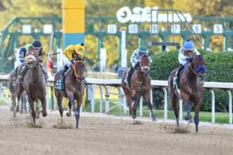 5 important historical trends to know before betting on the 2026 Arkansas Derby