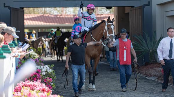 A Value Hunting Approach to Betting on the 2026 Fair Ground Oaks