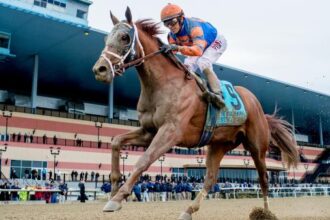 A look back at Wood Memorial Grand Prize winners