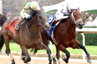 A thriller in which the class president stops silent tactics and wins the level stakes.