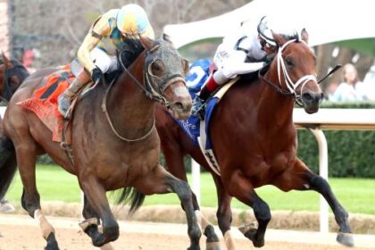 A thriller in which the class president stops silent tactics and wins the level stakes.