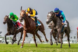 ABR Sunday Selection: Full Card Picks for March 15th at Gulfstream Park