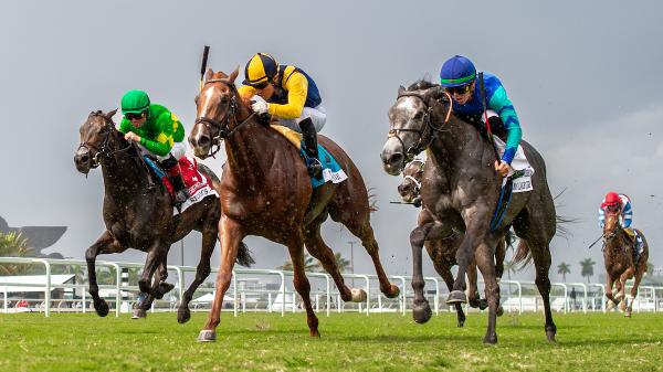 ABR Sunday Selection: Full Card Picks for March 15th at Gulfstream Park