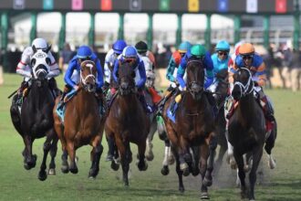 ABR Sunday Selection: Full Card Picks for March 29 at Gulfstream Park