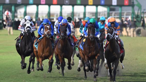 ABR Sunday Selection: Full Card Picks for March 29 at Gulfstream Park