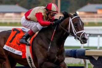 Almost on track for the Florida Derby