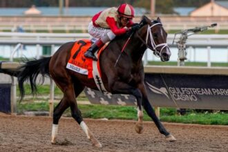 Almost takes the lead in the super tough Florida Derby