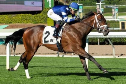 Bet on 2026 Turf Proven Horses Jeff Ruby Steak