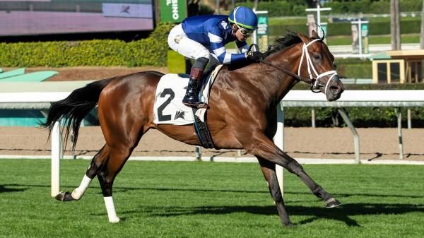 Bet on 2026 Turf Proven Horses Jeff Ruby Steak