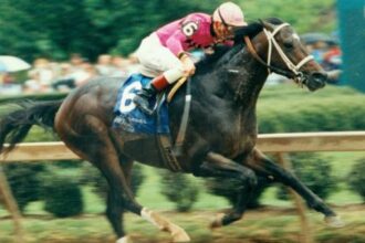 Blow up Borel: Shocked $218 in the 1993 Arkansas Derby.