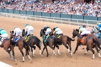 Byron King's Derby Dozen on March 5th