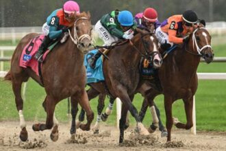 Byron King's Derbyders on March 19th