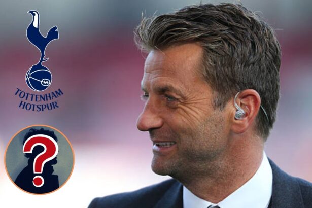 Former Tottenham manager Tim Sherwood with overlay of Spurs logo and mystery man