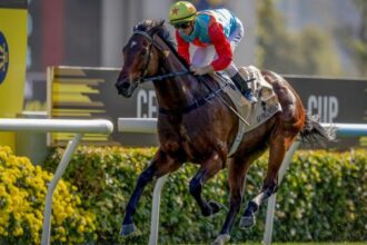 Car in Rising tops the 2026 World's Best Racehorse Ranking for the first time, Forever Young ranks third