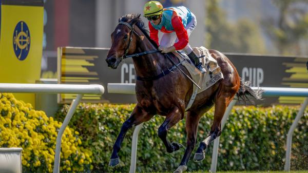 Car in Rising tops the 2026 World's Best Racehorse Ranking for the first time, Forever Young ranks third