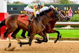 Casse trio aims for Derby and Oaks after Oaklawn Prep final round