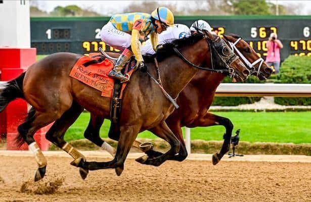 Casse trio aims for Derby and Oaks after Oaklawn Prep final round