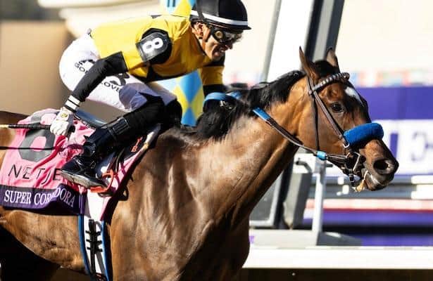 Champion Super Corredora shows signs of revival