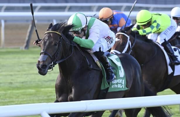 Clock Tower Leads Major Prize Winners in Tab