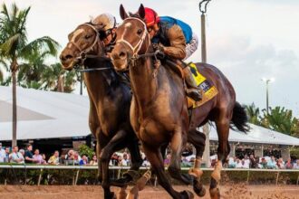 Commandment jumps to 2nd place in latest Triple Crown power rankings