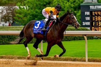 Counting Stars makes fantasy stakes fun easy