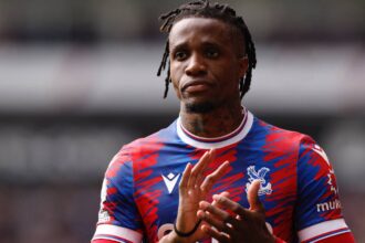 Crystal Palace's new Wilfried Zaha could end Mateta's career at Selhurst Park