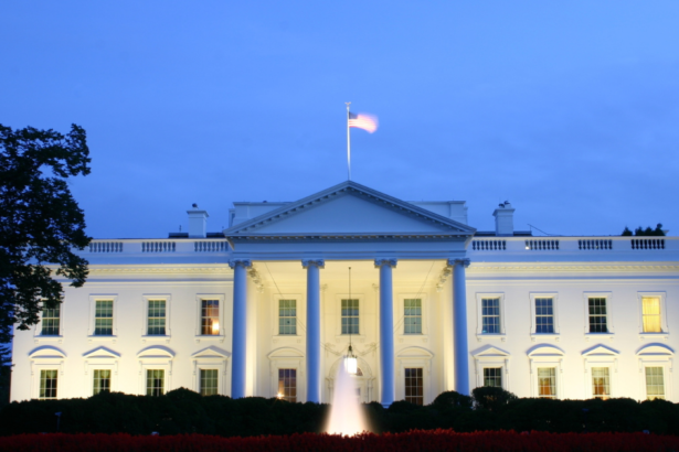 How Did a White House UFC Event Reshuffle International Diplomacy? France Delays G7 for Donald Trump