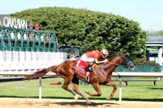 Desert Gate bounces back with overwhelming victory over Hot Springs