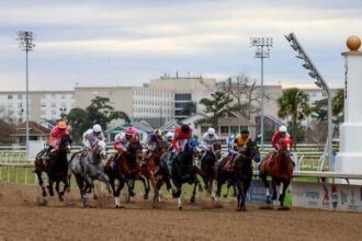 Devaux's promising English player returns on Thursday