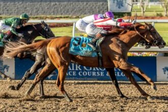 Emerging markets crush Pavlov to win Louisiana Derby