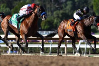 Equibase standings: Three trainers in a tight race for profits as spring begins