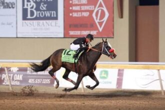 Express Kid absent from Santa Anita Derby due to fever