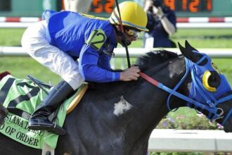 Faithful was surprised when the $220 Louisiana Derby winner left the venue