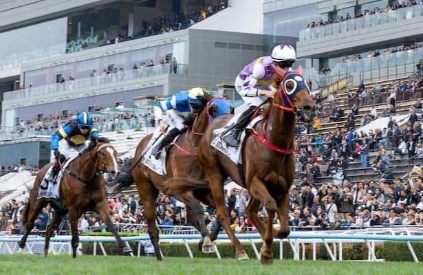 Find the winner in a horse track with 14 horses