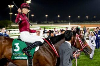Forever Young, Karandagan and the important horses you need to know ahead of the 2026 Dubai World Cup card