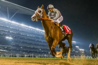 Global Sensations: Top 5 Dubai World Cup Winners