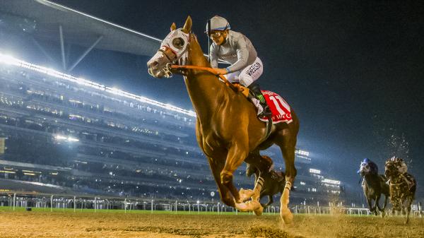 Global Sensations: Top 5 Dubai World Cup Winners