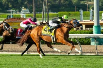 Gold Phoenix swoops in late and captures San Luis Rey.