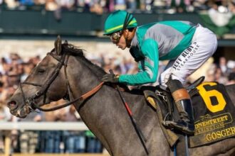 Gosger launches first campaign in four years with Gulfstream