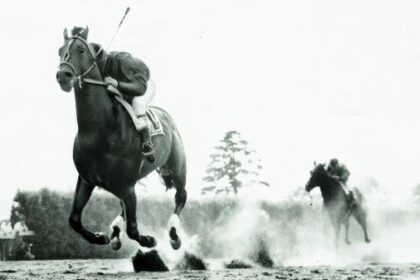 Great Quote: "It was so fast it was scary."